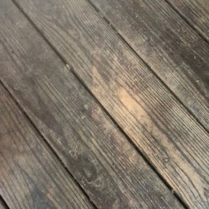 Meet your Posher, Savannah